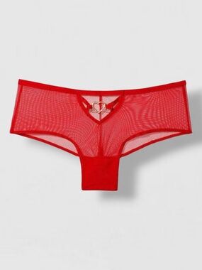 Victoria’s Secret Cheeky Panties Small New
